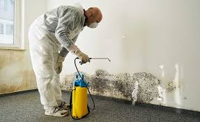 Biohazard Mold Removal in Bayshore Gardens, FL